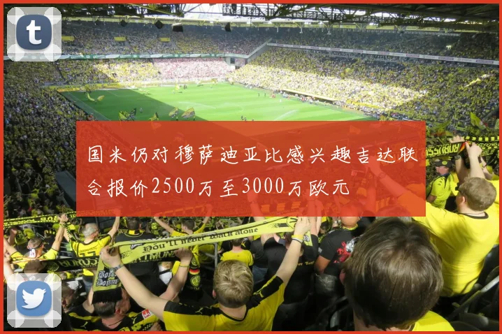国米仍对穆萨迪亚比感兴趣吉达联合报价2500万至3000万欧元