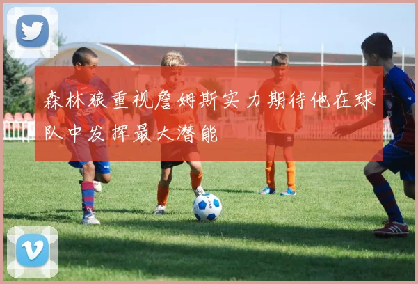森林狼重视詹姆斯实力期待他在球队中发挥最大潜能